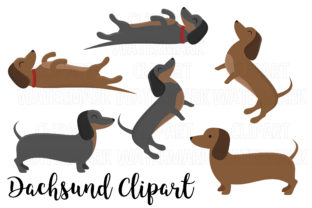 Dachshuns Clipart: Perfect Graphics for Illustrations